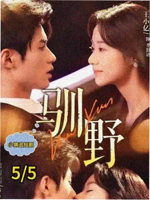 条目详情示意配图，标本柜抽屉与标签的抽象组合